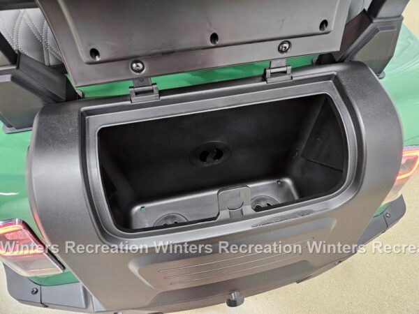 2025 Denago Rover XL Lithium Ion Golf Cart, Verdant - Image 6