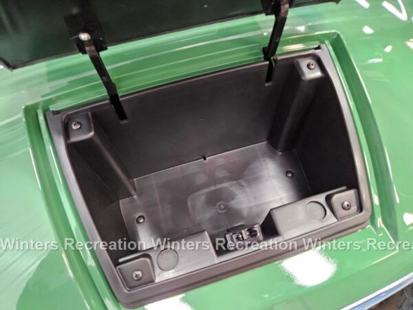 2025 Denago Rover XL Lithium Ion Golf Cart, Verdant - Image 15
