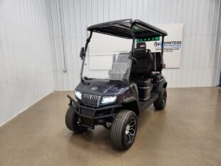 CUSTOM 2025 Evolution D5 Maverick Lithium Ion Golf Cart, Arctic Grey